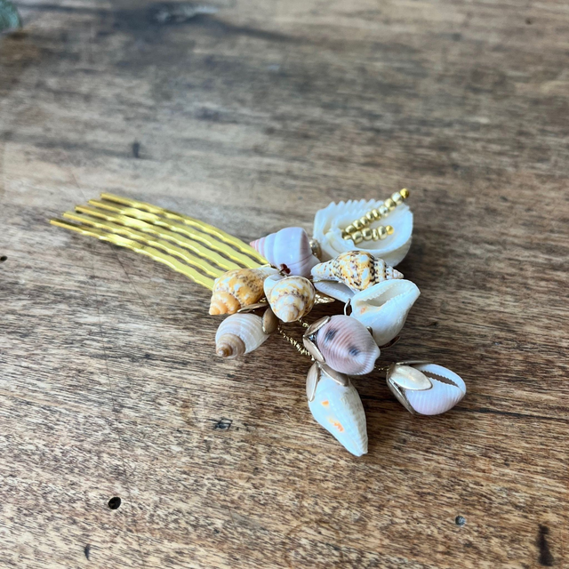Petit peigne coquillages