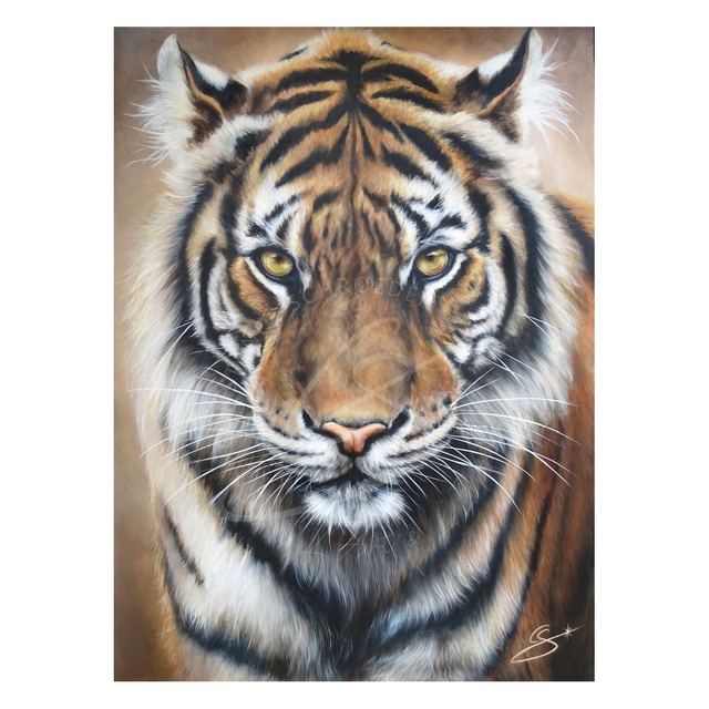 Tigre "Hypnos"
