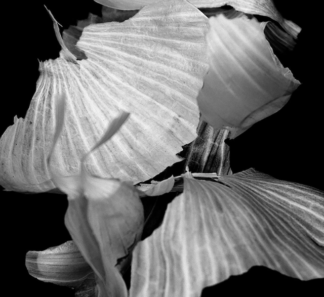 TAURUS 2025 - Vincent Ceraudo