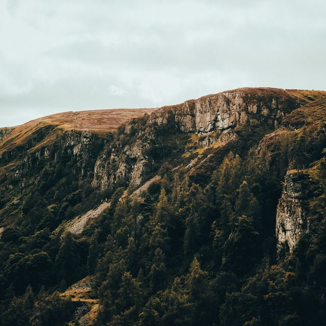 The Collection (50 Lightroom Presets)