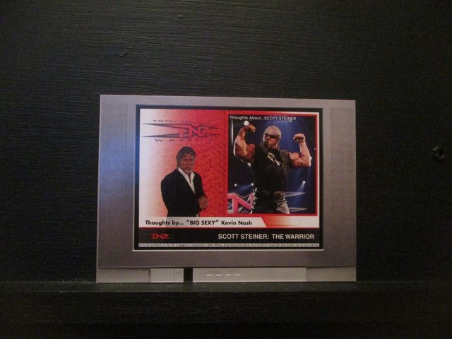 Scott Steiner - 'Thoughts About' Original Trading Card #BS-4