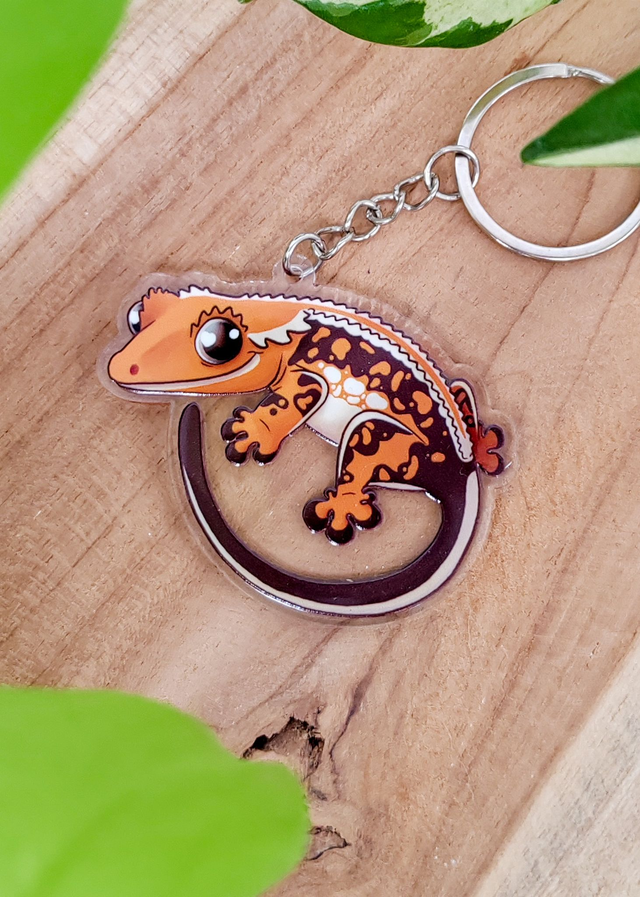 Porte-clés - Gecko à crête Tricolore