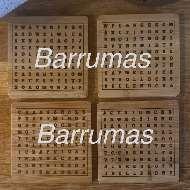 Just Rude! Word Search Coasters