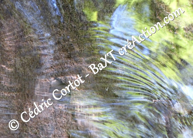 Carte postale - Reflets et cours d'Eau (Ref P1190149)