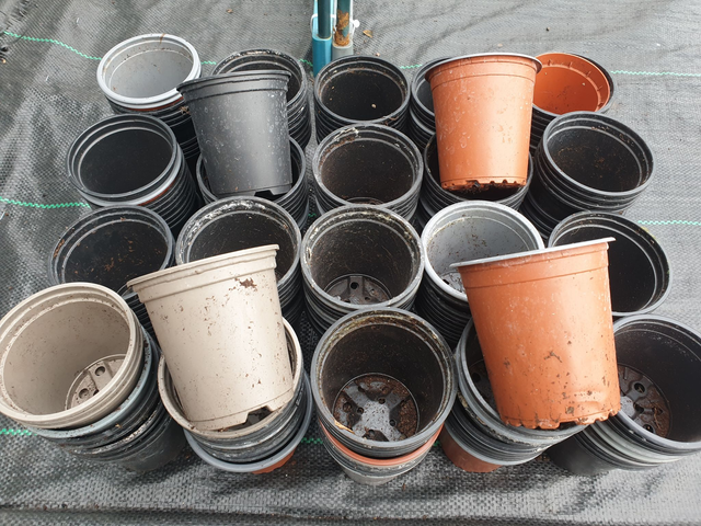 x200 PER BOX Plant Pots 9cm Plastic Tall Full Size Flower Pot Seeds USED POTS!