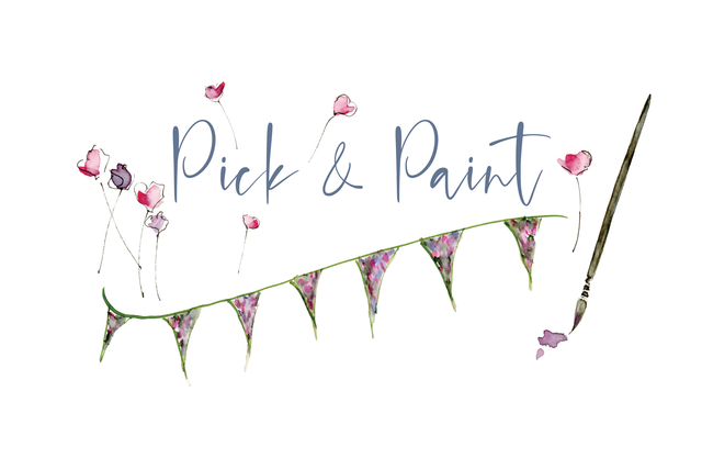Pick &amp; Paint Workshop (3) Saturday 25th July