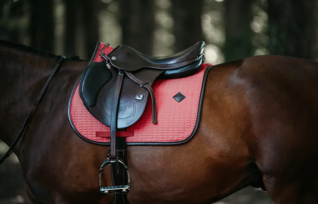 Tapis de selle Color Edition Leather jumping