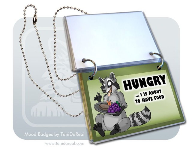 Mood Badges SET RACCOON