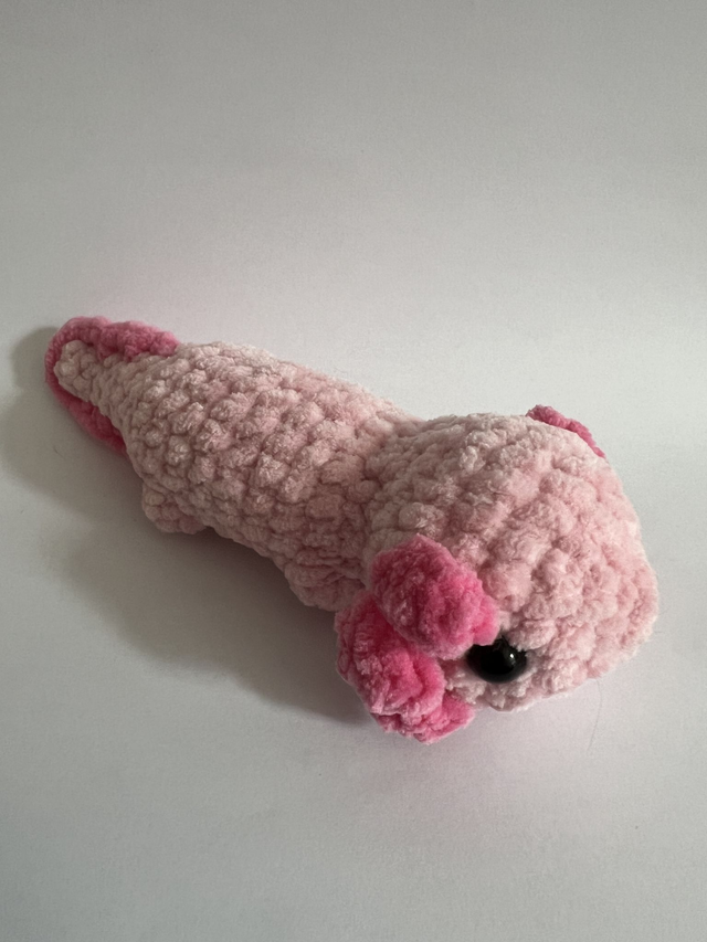 Axolotl 🍥