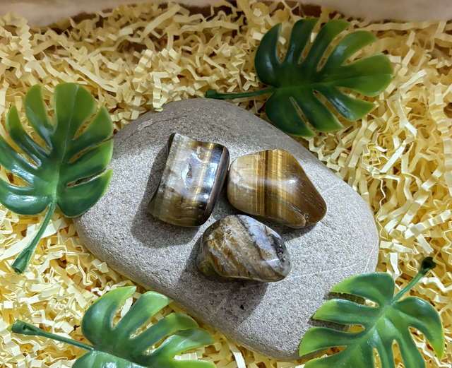 Pierre roulée oeil de tigre 3-5cm