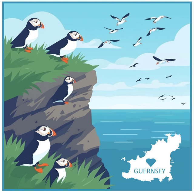 101 CARD - PUFFIN CLIFFS