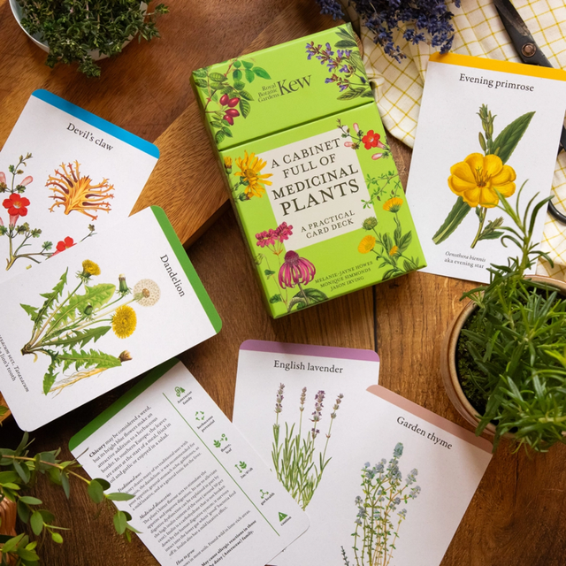 A Cabinet Full of Medicinal Herbs