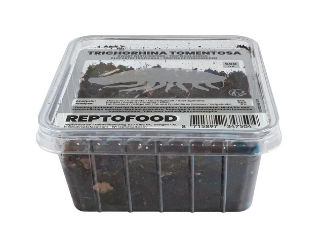Repto tropical isopod box