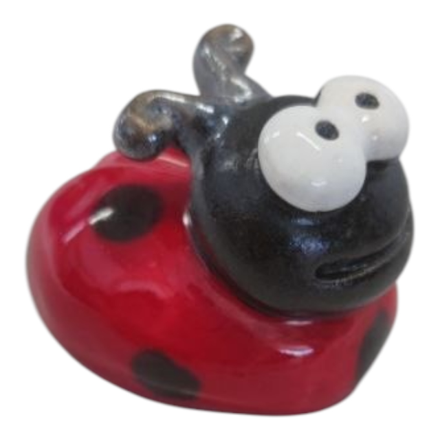 Coccinella 