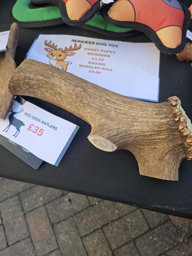 DEER ANTLER XXXXL