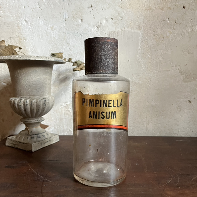 Pimpinella Anisum