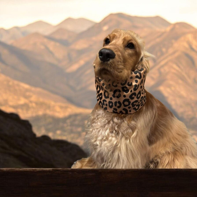 Snood Taille L Imperméable"Léo Caramel"
