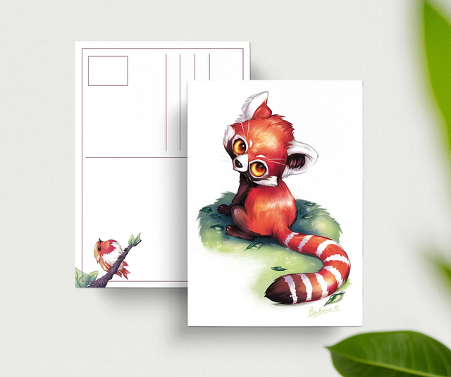 Carte postale Panda Roux