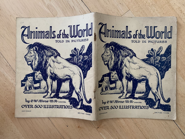 Animals Of The World Told In Pictures Paperback By E W Airne