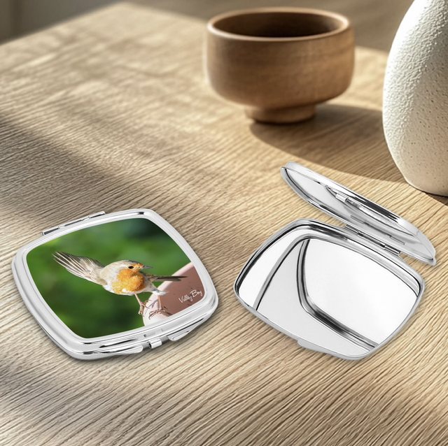 "Dancing Robby" Compact Mirror  
