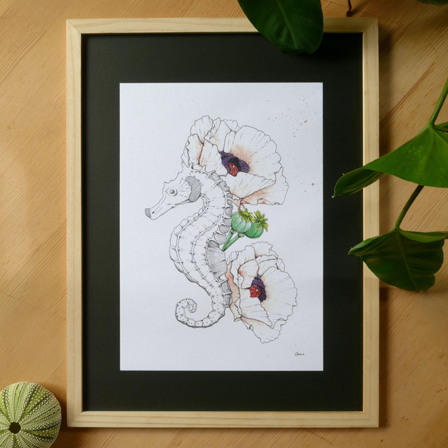 PRINT A4 – Hippocampe