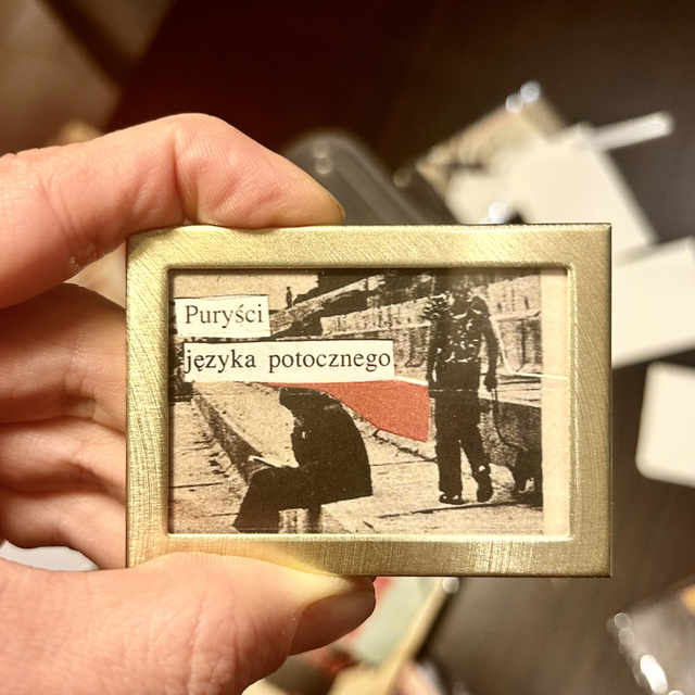 Miniaturka w ramce nr 72 - puryści języka potocznego 