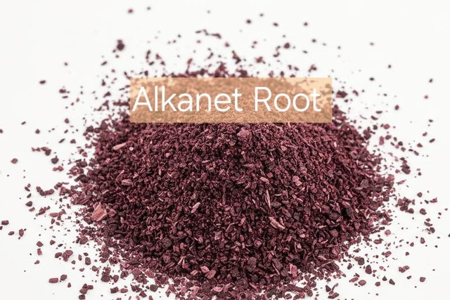 Alkanet Root | 20g Attraction Curio | Luck &amp; Folk Divination