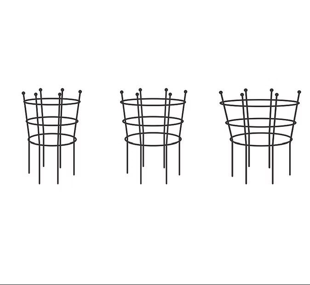 Triple Ring Supports in 12mm or 10mm steel