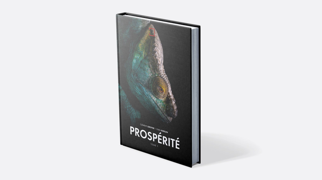 Prospérité Tome 1
