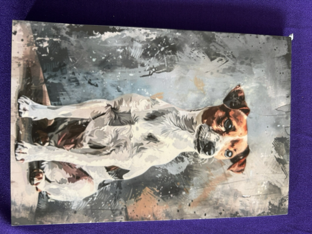 Plain Note Pad Jack Russel