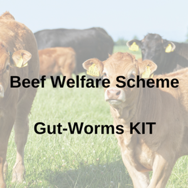 Beef Welfare Scheme (BWS) Gut-Worm & Coccidia Test KIT