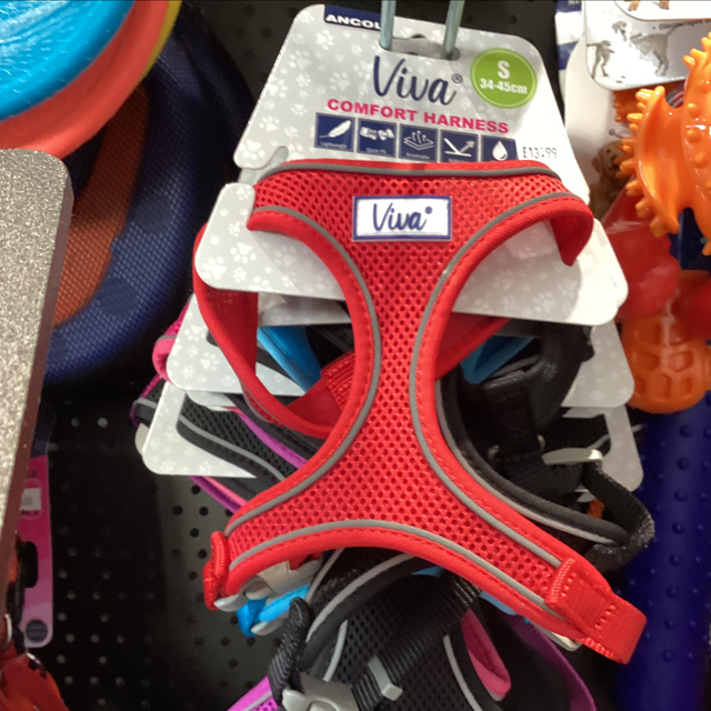 Ancol harness Small