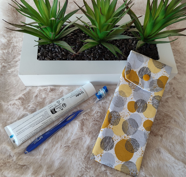 étui de voyage pour brosse à dents et dentifrice 