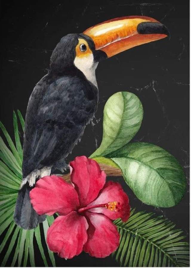 Toucan