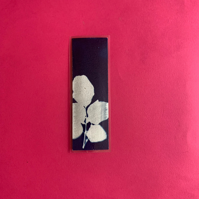 Marque page cyanotype végétal original sur papier épais et plastifié