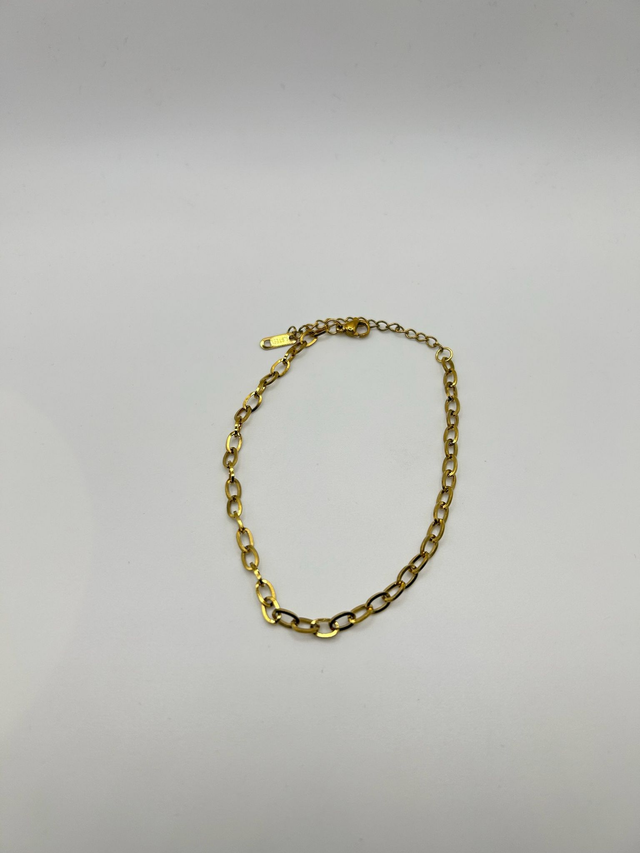 Stainless Steel Anklet (SSAN13J)