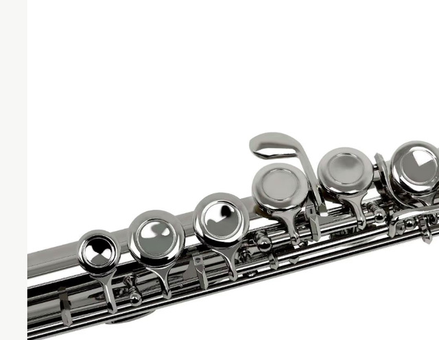 Slade professionele C dwarsfluit met koffer