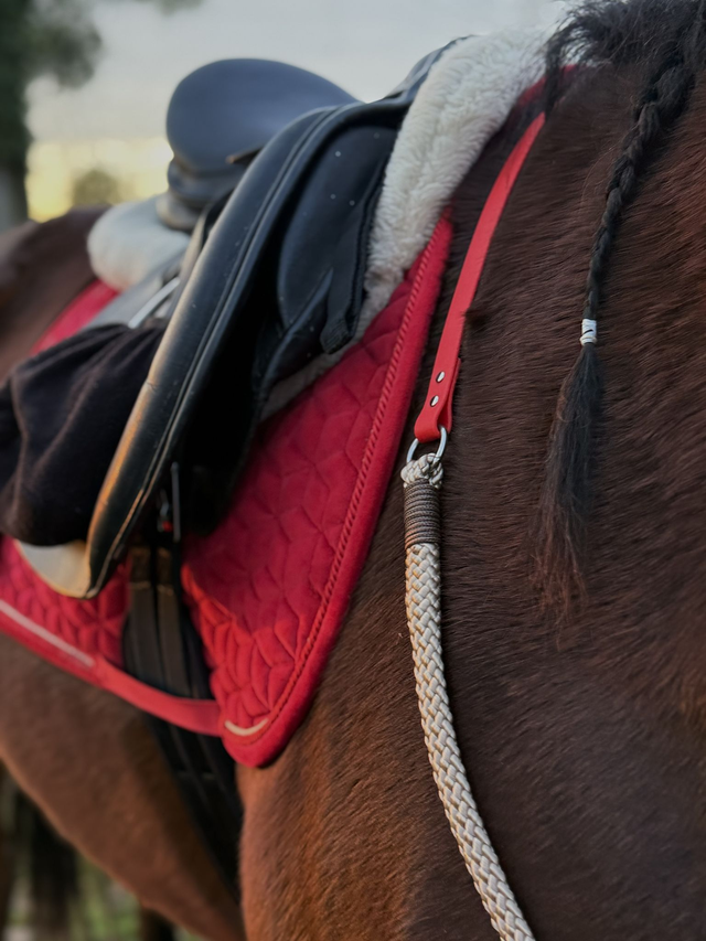 Cordelette Prestige SNK