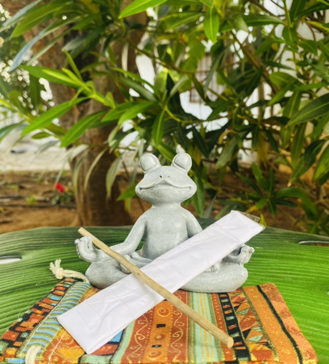 Kambo Stick from Peruvian Shamans