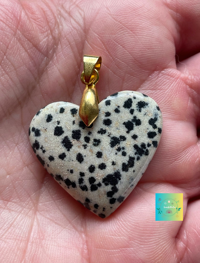 🐾 JASPE DALMATIEN Joli coeur