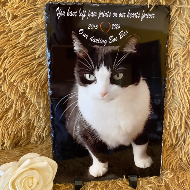 A4 Pet Photo Slates various sizes