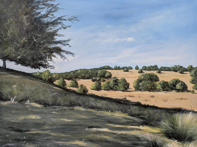 Petworth deer park