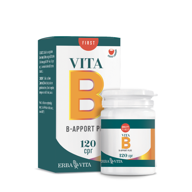 B APPORT VITAMINA B12 120CPR