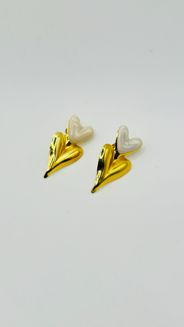 Stainless Steel Earrings (SSE82J)