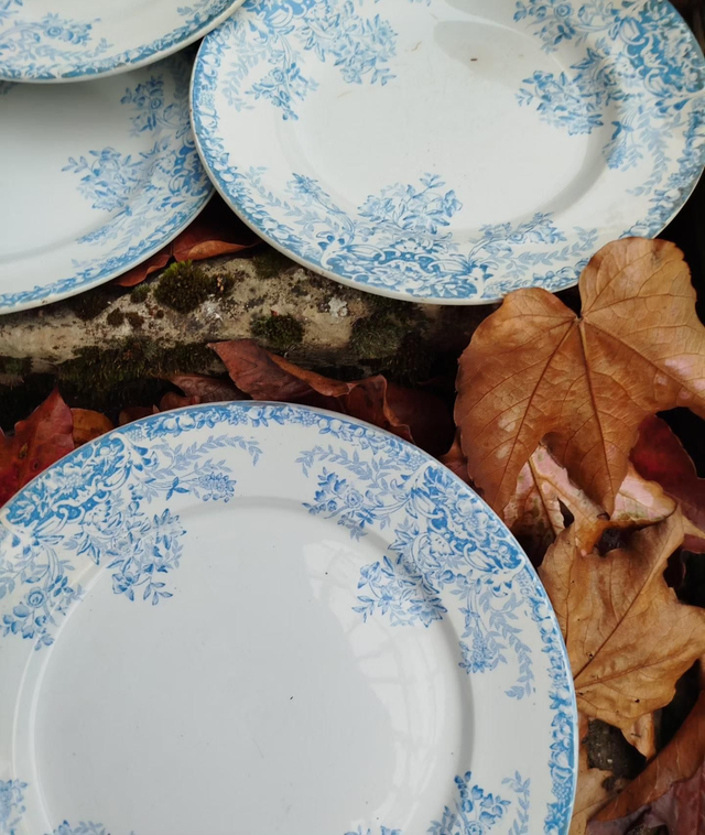 Assiette plate St Amand (unité)