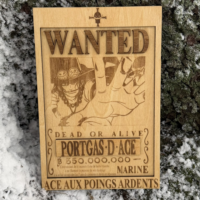 One Piece - Ace Gravure Wanted