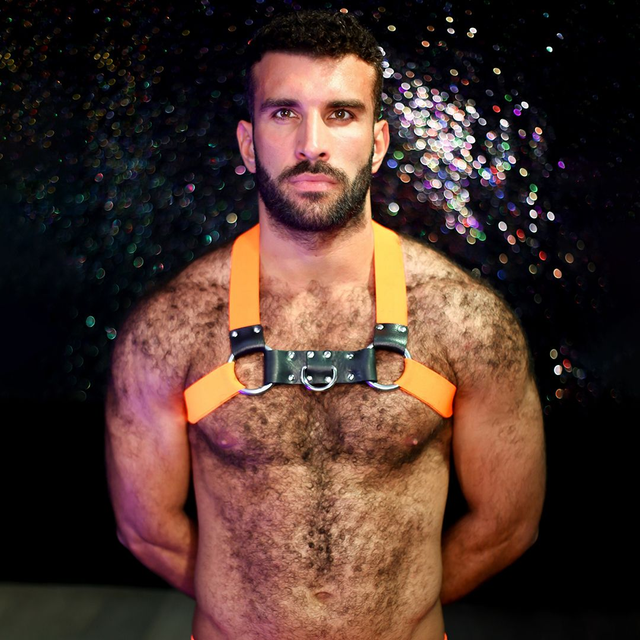 Orange Chest Harness 