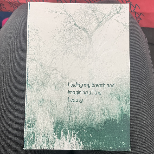 HOLDING MY BREATH AND IMAGINING ALL THE BEAUTY 