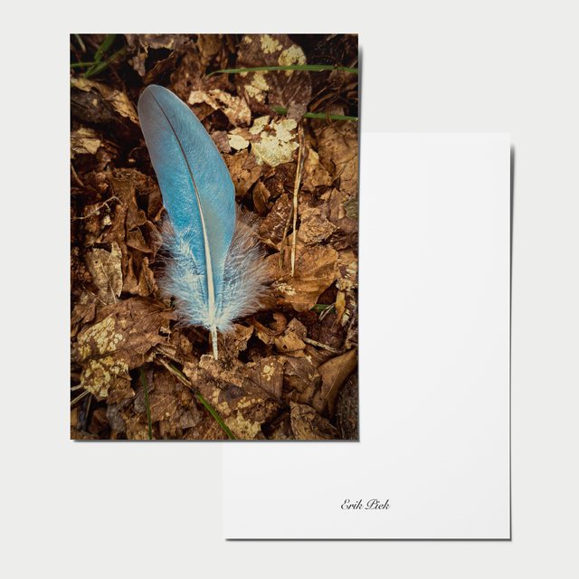 A6 kaart - Blauwe veer