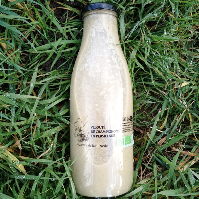 Velouté de champignon en persillade